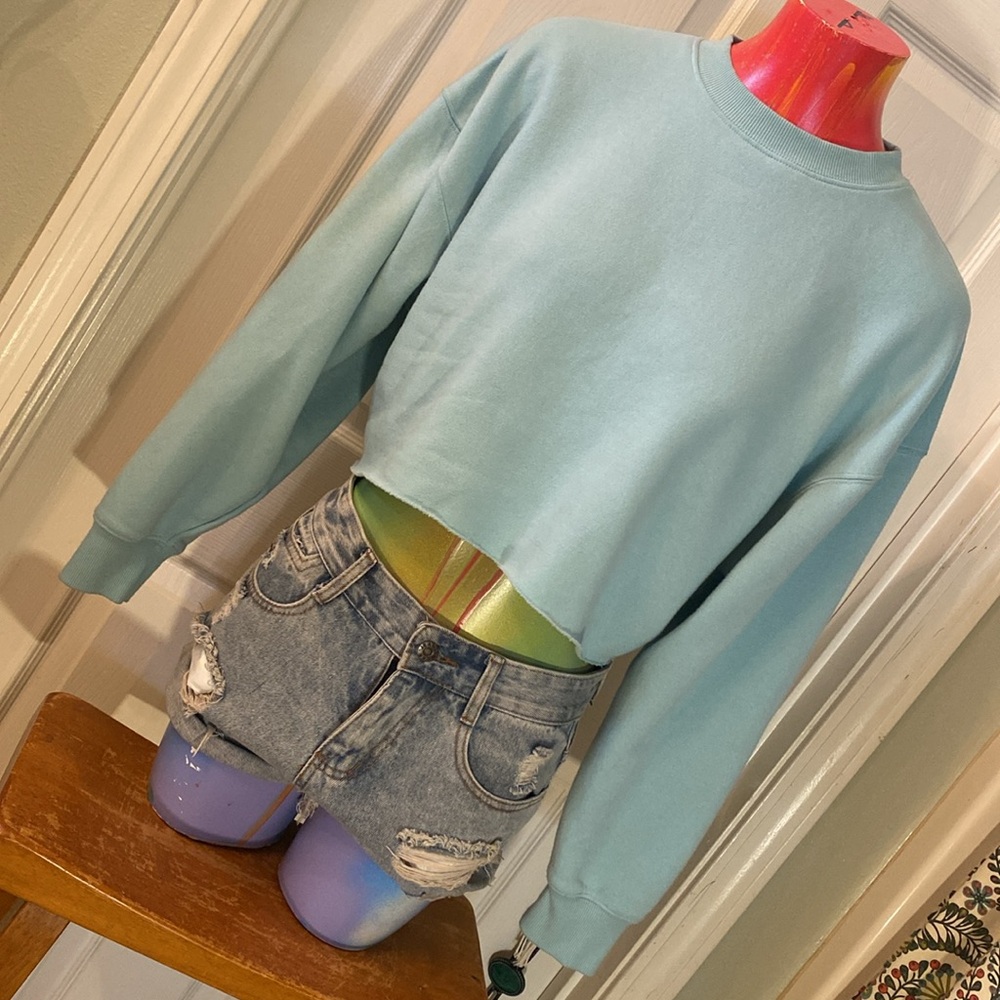 WILD FABLE Chic Light Blue Cropped Sweatshirt